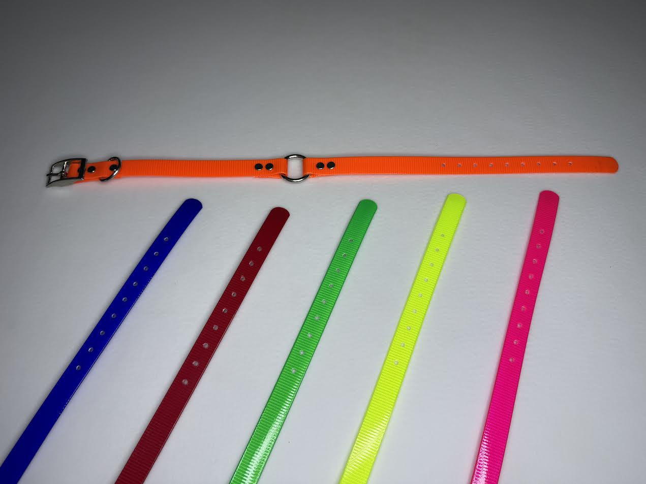 DAYGLO 3/4 INCH WIDE COLLAR WITH D AND O RINGS