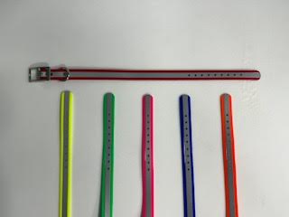REFLECTIVE DAYGLO ONE INCH COLLAR WITH D RING