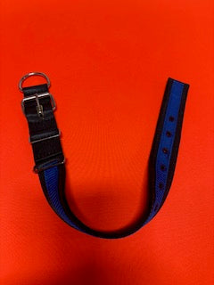 2 INCH WIDE SEATBELT COLLARS 25 INCH