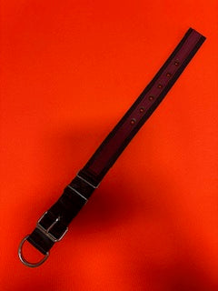 2 INCH WIDE SEATBELT COLLARS 21 INCH