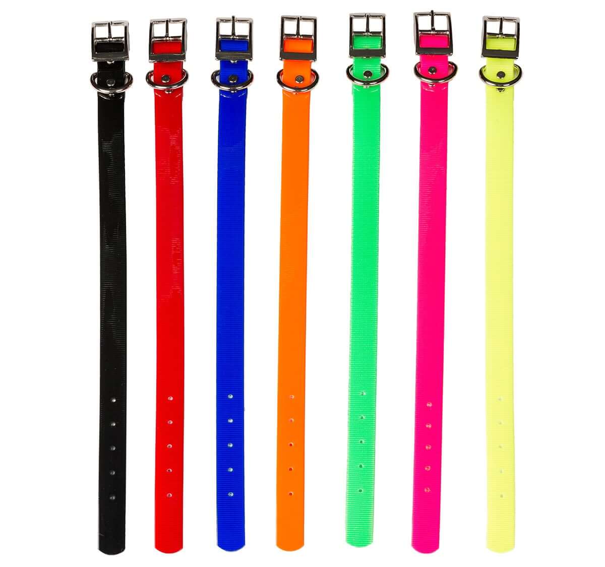 3/4 Dayglo Collar w/Dee  20 INCHES LONG